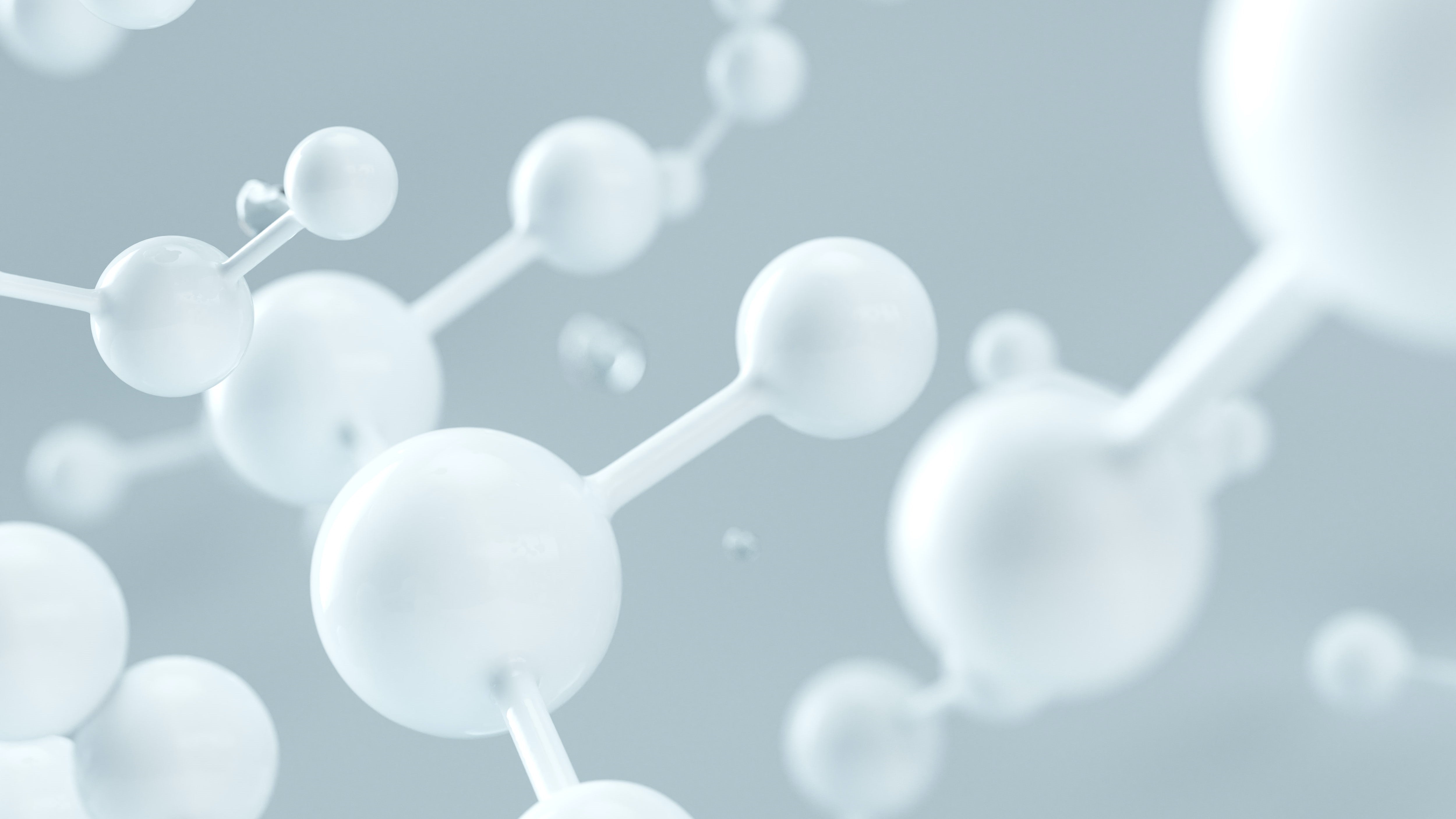 【本当にサステナブル?】サボテンレザーの耐久性を徹底解説【加水分解】