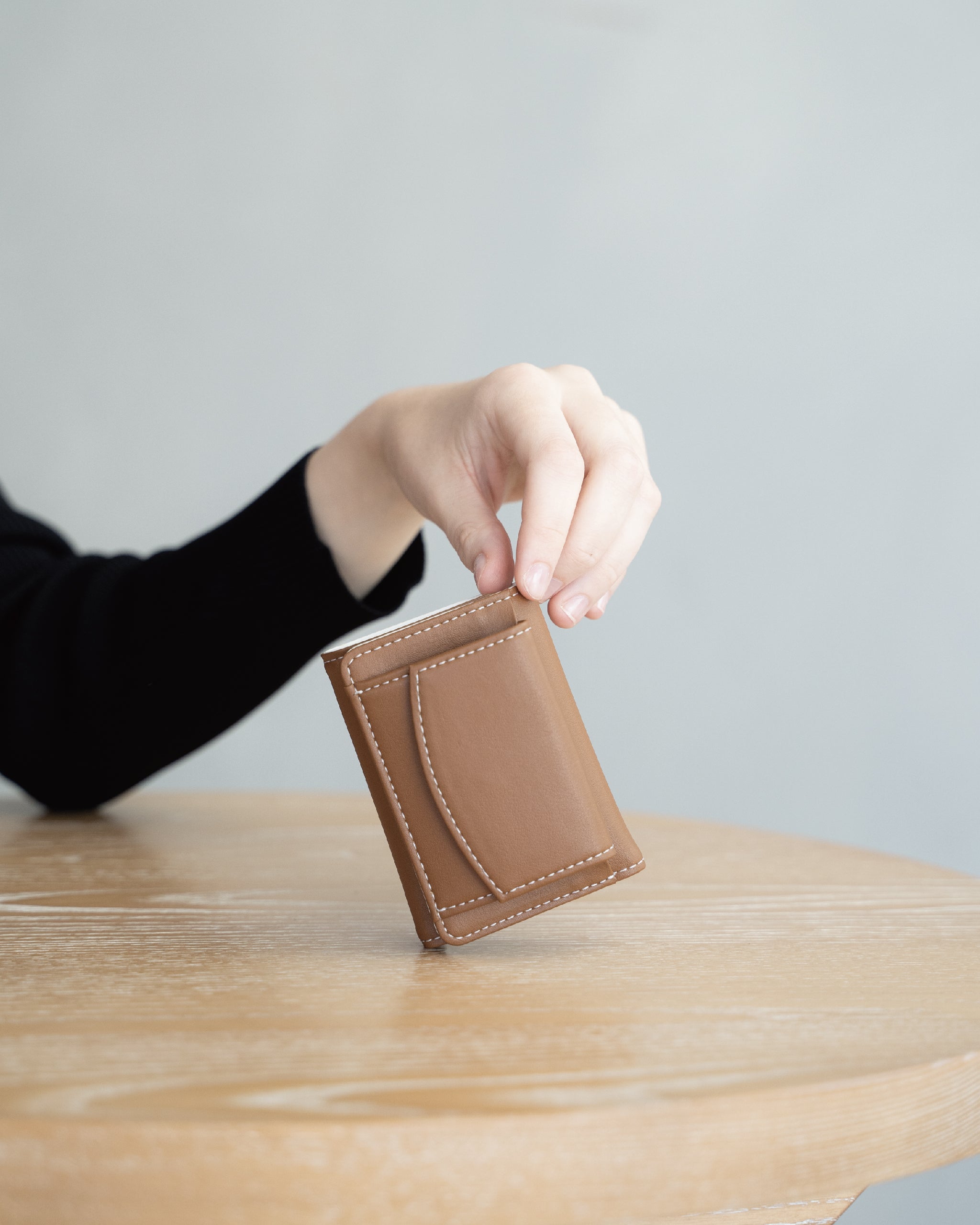 Mini Wallet (bicolor)